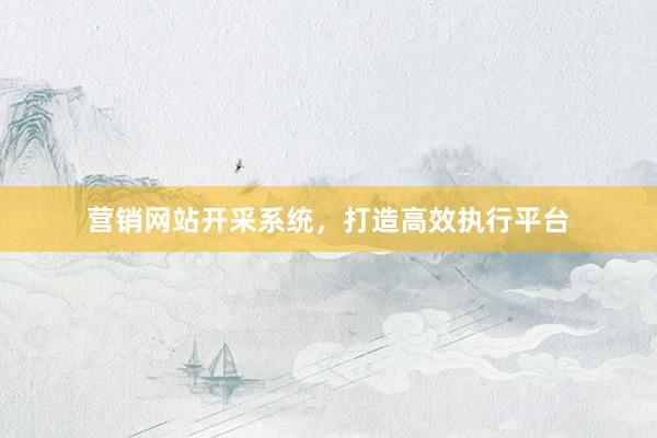 营销网站开采系统，打造高效执行平台