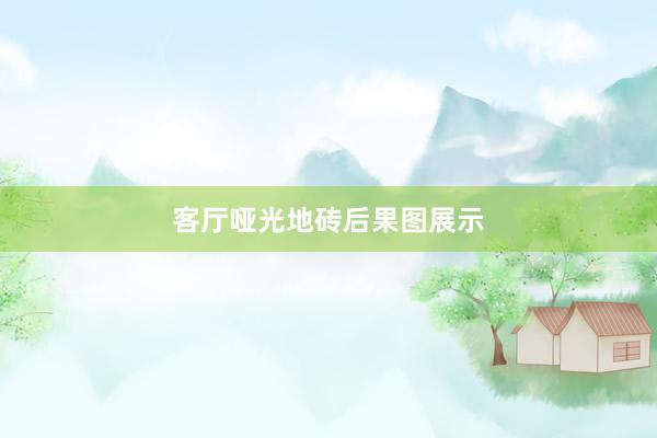 客厅哑光地砖后果图展示