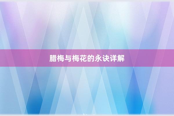 腊梅与梅花的永诀详解