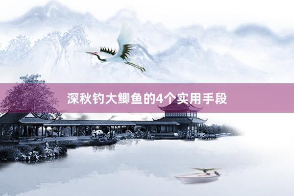 深秋钓大鲫鱼的4个实用手段